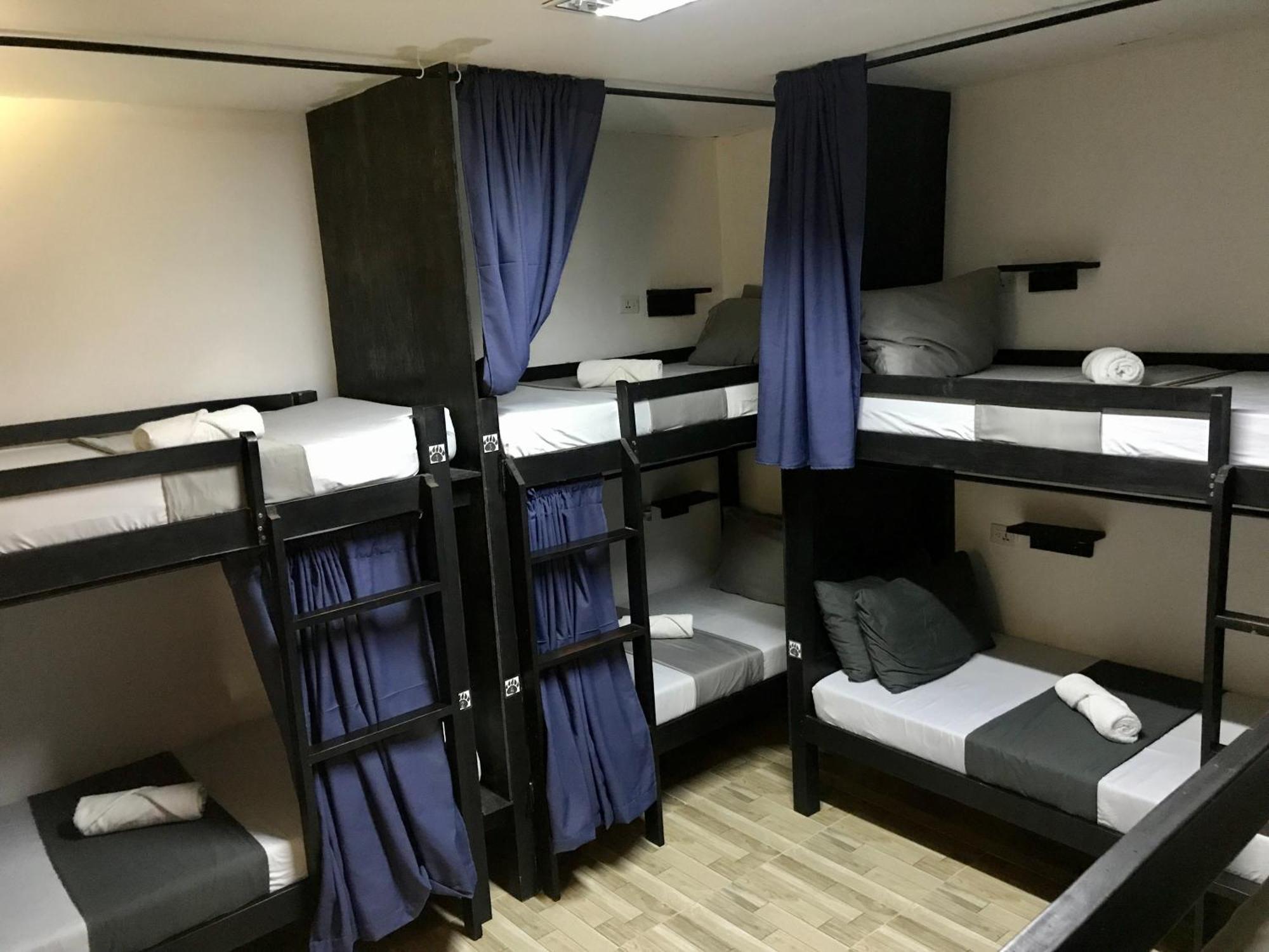 Crazy Bears Hostel Moalboal Bagian luar foto