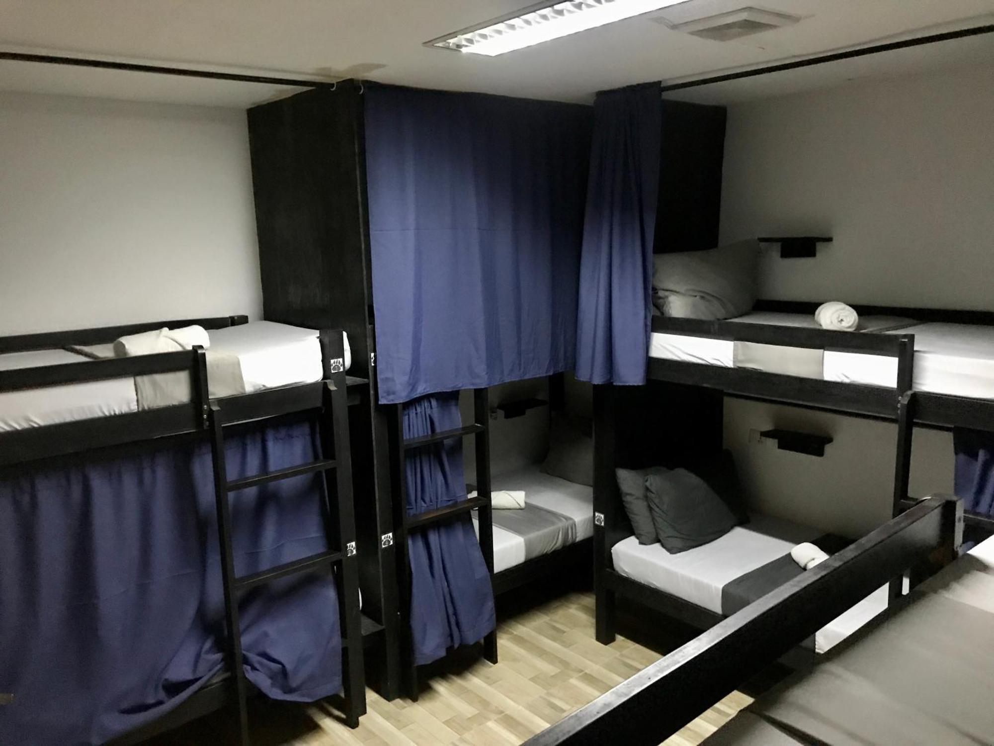 Crazy Bears Hostel Moalboal Bagian luar foto