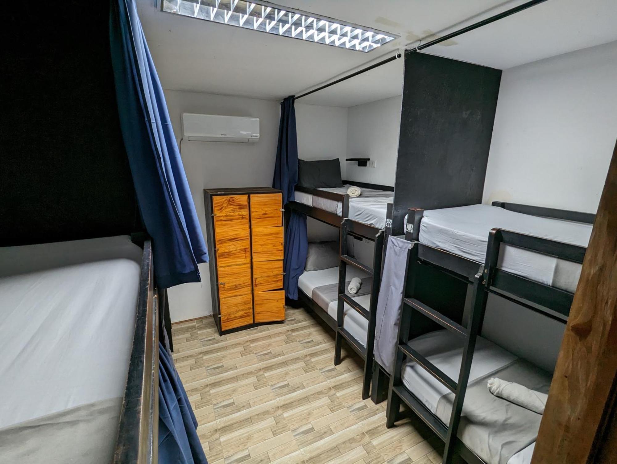 Crazy Bears Hostel Moalboal Bagian luar foto