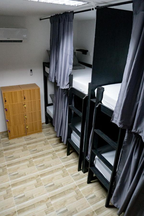 Crazy Bears Hostel Moalboal Bagian luar foto